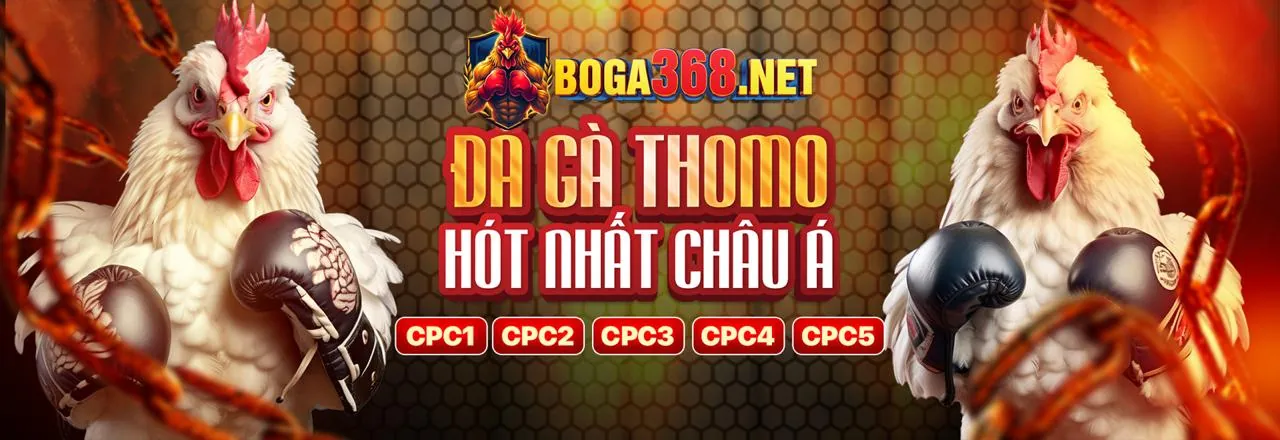 Hình ảnh minh họa an toàn và thanh toán tại NetBet Casino